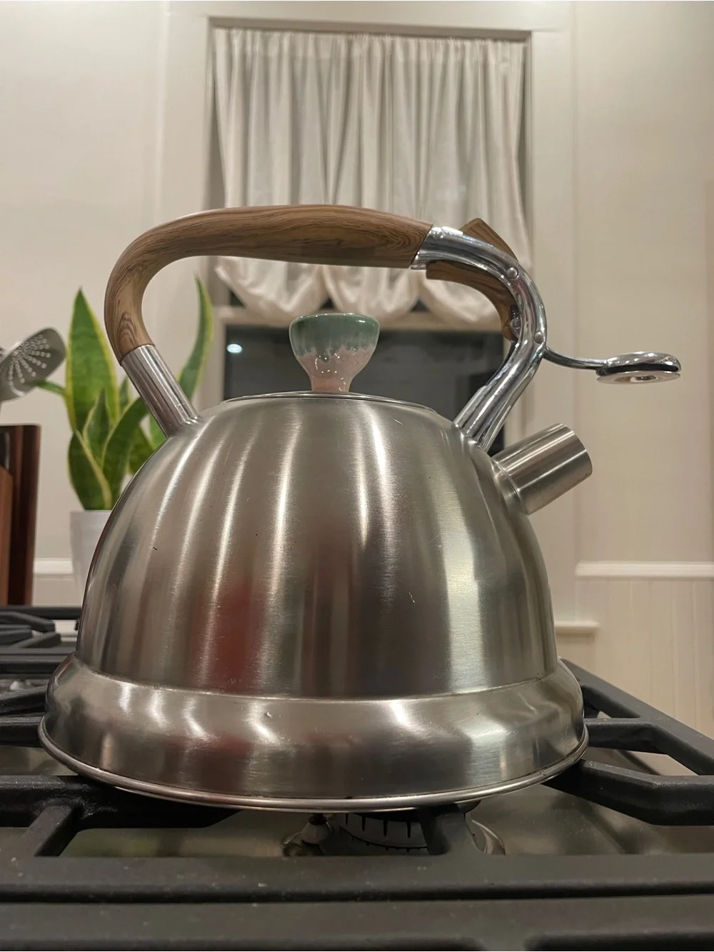 Classic Stainless Steel Whistling Tea Kettle with Wood-Effect Handle - Silver